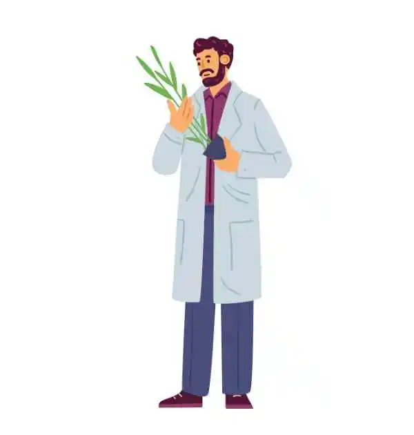 a doctor  in lab coat holding a plant, representing Unani Medicine and Surgery, vector illustration on a white background.