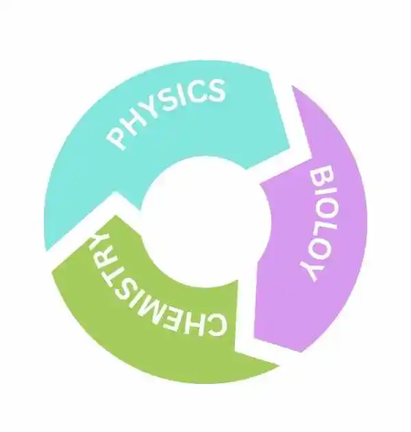  A circular diagram featuring the words physics, biology, and chemistry, illustrating the NEET exam pattern understanding.
