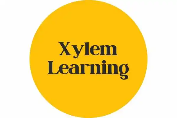 Logo of Xylem Learning, an educational organization based in Kerala, featuring a modern design and vibrant colors.