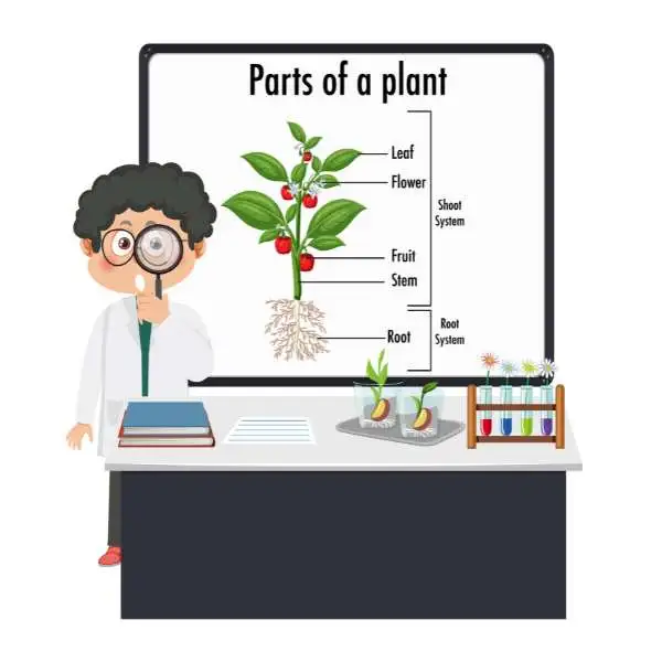 A man in a lab coat examines a plant, illustrating visual learning concepts in an NCERT textbook.